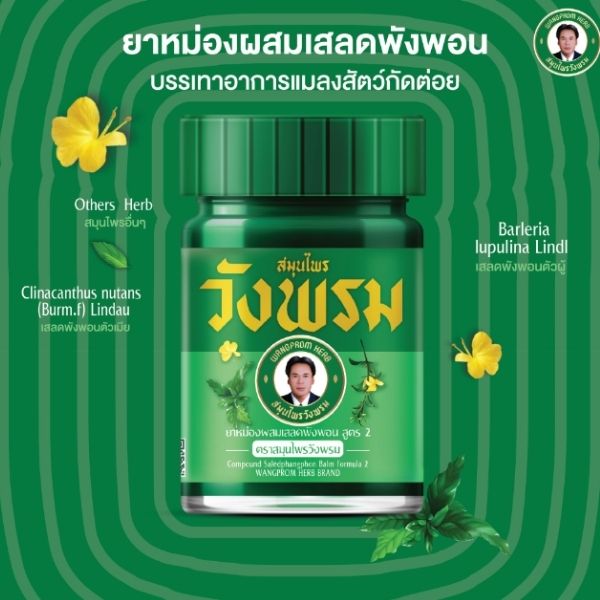 ยาหม่องสูตรเสลดพังพอน 20g