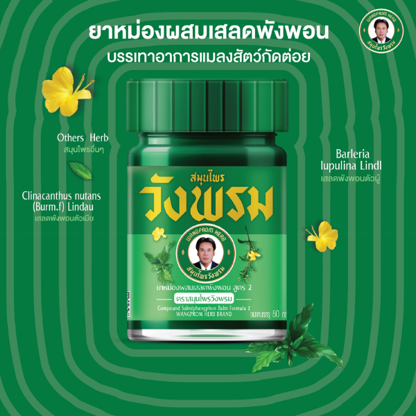 ยาหม่องเสลดพังพอน 50g