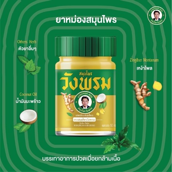 金色热感药膏 50g（1打）
