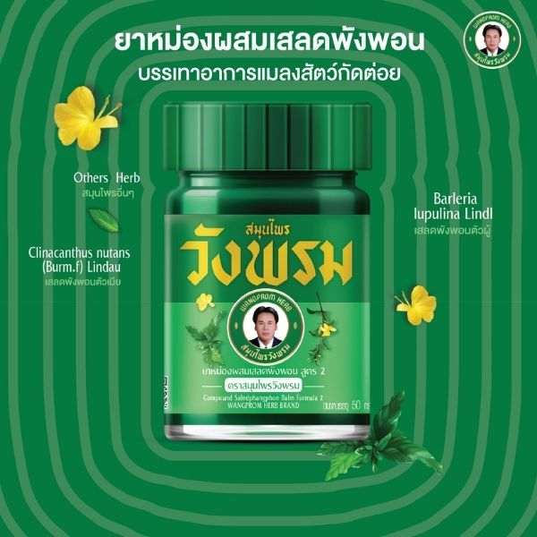 Dầu cù là công thức cây lá khôi 50g ( 1 tá )